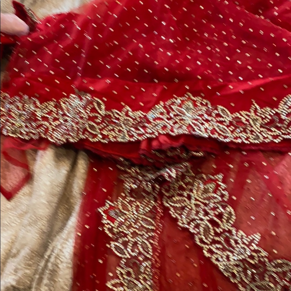 Red Net Sari - image 4